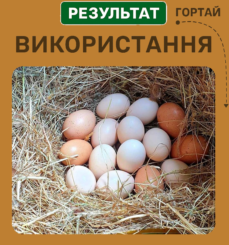 EggBoost стимулятор